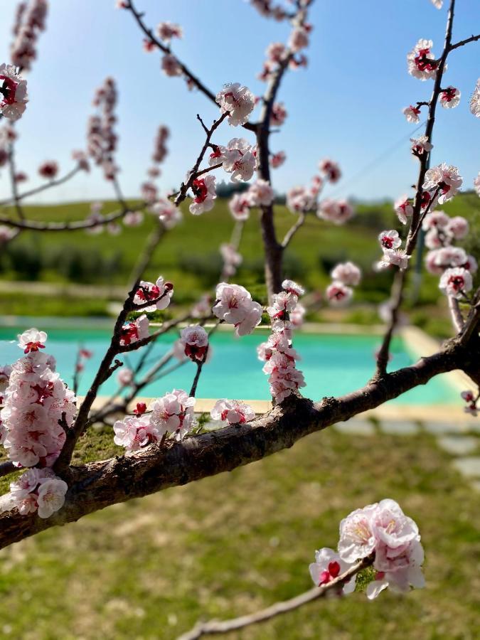 B&B Monte Di Bu Bagno Roselle Exterior foto