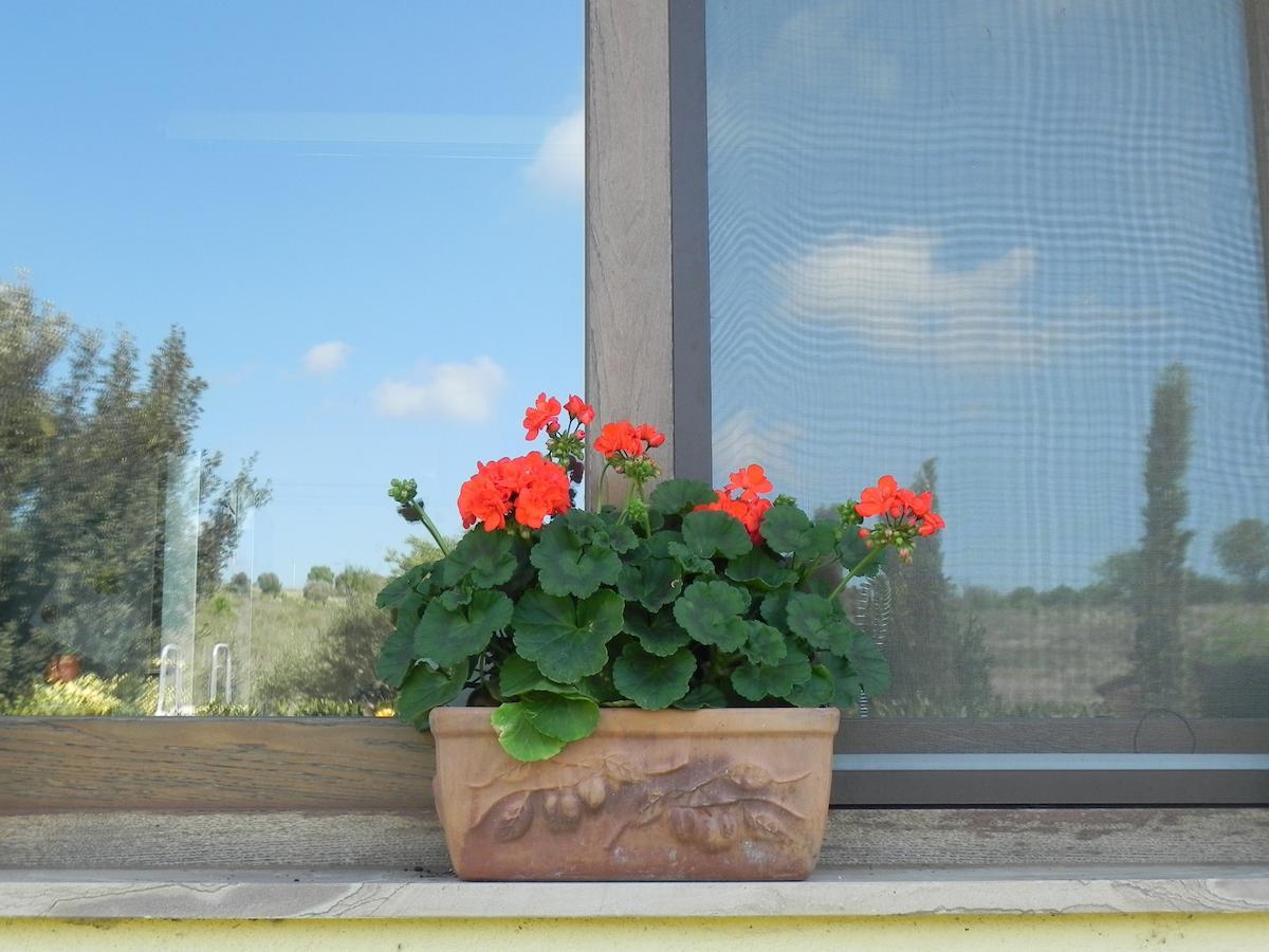 B&B Monte Di Bu Bagno Roselle Exterior foto