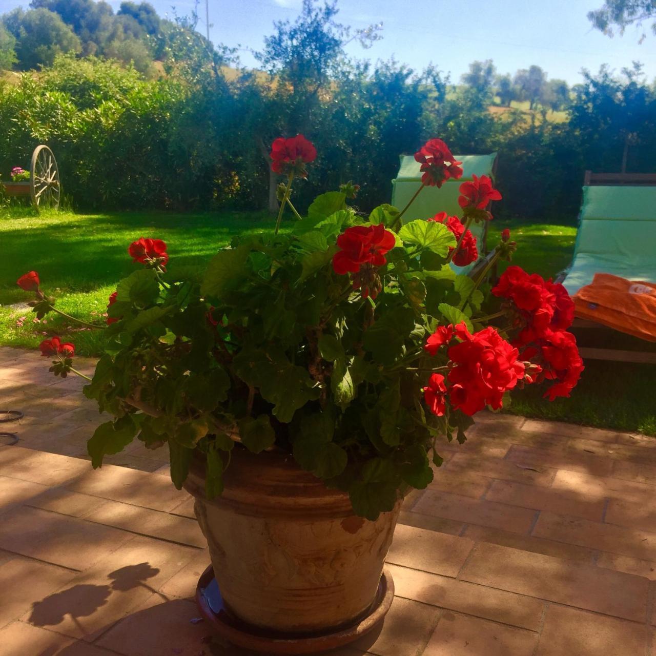 B&B Monte Di Bu Bagno Roselle Exterior foto